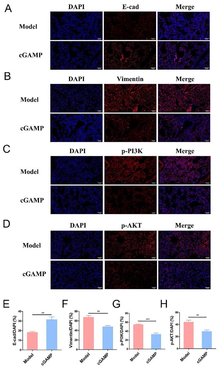 https://cdn.ncbi.nlm.nih.gov/pmc/blobs/0a77/10173802/6a77f2294b05/IANN_A_2210845_F0010_C.jpg