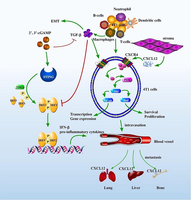 https://cdn.ncbi.nlm.nih.gov/pmc/blobs/0a77/10173802/fc06877e1d19/IANN_A_2210845_F0011_C.jpg