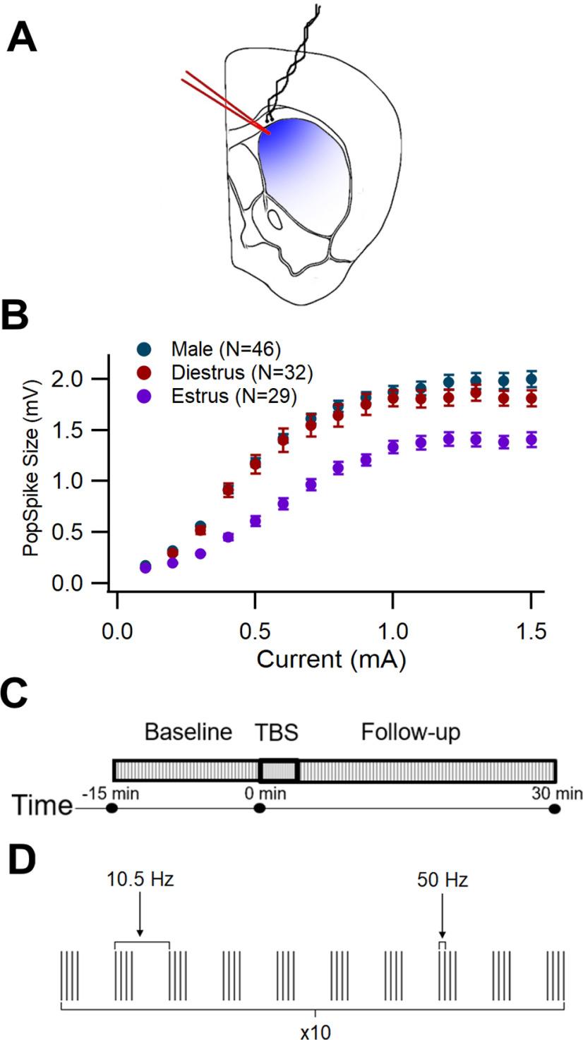 https://cdn.ncbi.nlm.nih.gov/pmc/blobs/0a78/10405883/5e134700fa37/ENEURO.0071-23.2023_f001.jpg