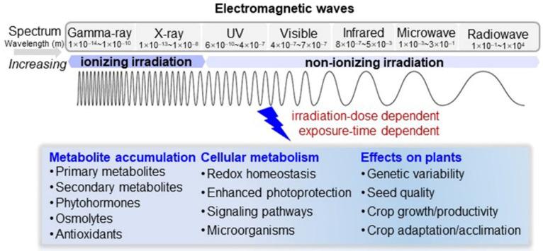 https://cdn.ncbi.nlm.nih.gov/pmc/blobs/0a78/8618018/c2322f52bfef/ijms-22-12239-g004.jpg