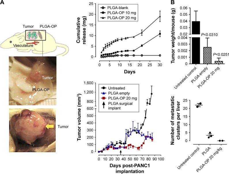 https://cdn.ncbi.nlm.nih.gov/pmc/blobs/0a79/6108334/4b3e26b459b1/ijn-13-4727Fig5.jpg