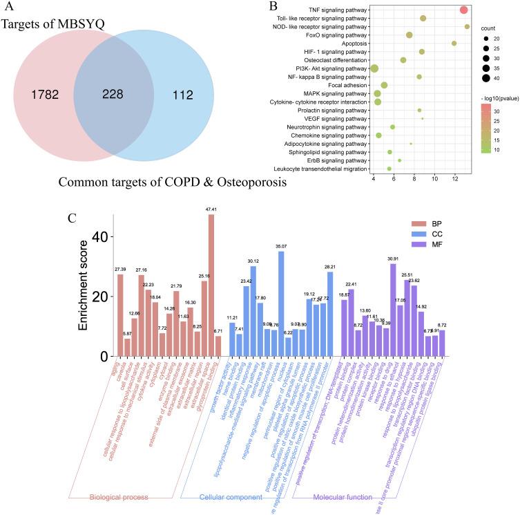 https://cdn.ncbi.nlm.nih.gov/pmc/blobs/0a7a/10493229/61cc170634e6/DDDT-17-2727-g0003.jpg