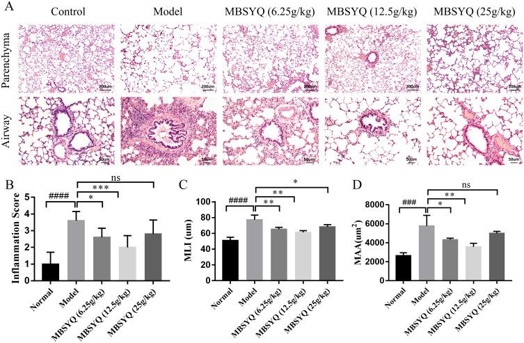 https://cdn.ncbi.nlm.nih.gov/pmc/blobs/0a7a/10493229/ad691aa3df1b/DDDT-17-2727-g0006.jpg