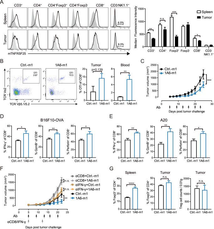 https://cdn.ncbi.nlm.nih.gov/pmc/blobs/0a7d/11331879/435e11856871/jitc-12-8-g002.jpg