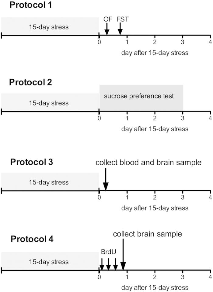 https://cdn.ncbi.nlm.nih.gov/pmc/blobs/0a7d/4528222/481eb1aa611d/srep12559-f8.jpg