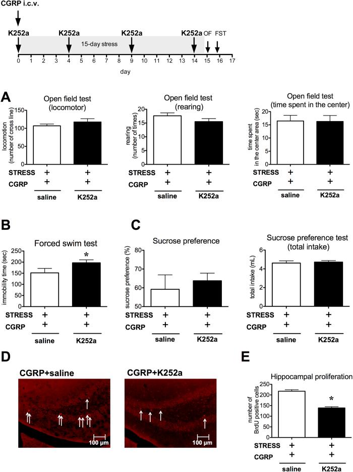 https://cdn.ncbi.nlm.nih.gov/pmc/blobs/0a7d/4528222/5a3630bb039e/srep12559-f7.jpg