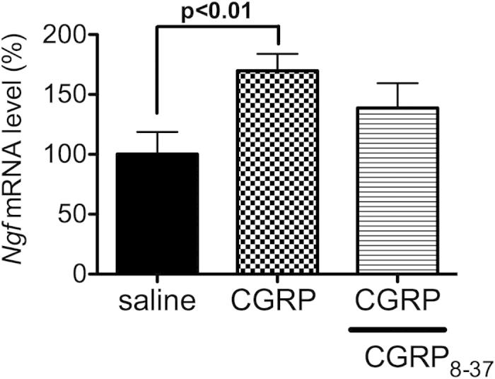 https://cdn.ncbi.nlm.nih.gov/pmc/blobs/0a7d/4528222/66aa6dc8ffca/srep12559-f6.jpg