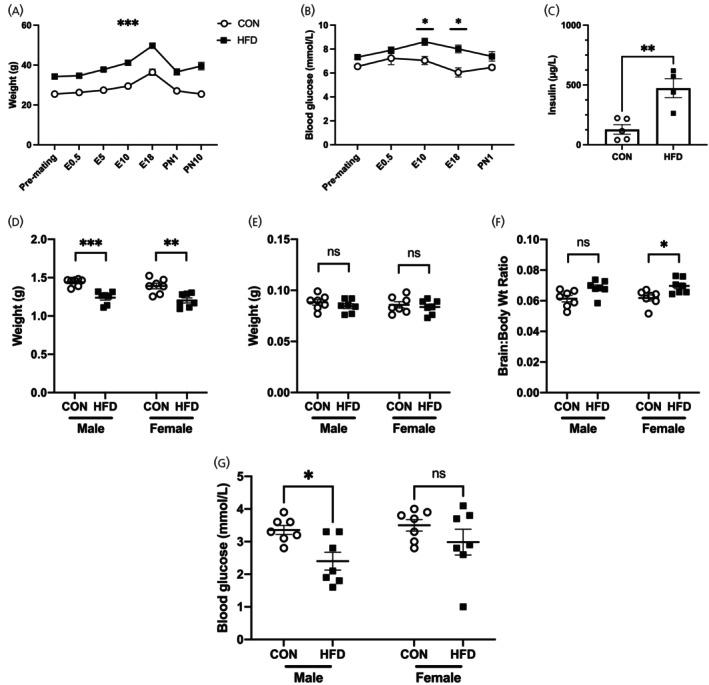 https://cdn.ncbi.nlm.nih.gov/pmc/blobs/0a80/12358208/66a11e527ce0/JNE-37-e70046-g002.jpg