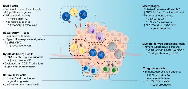 https://cdn.ncbi.nlm.nih.gov/pmc/blobs/0a80/7754680/27f7677f22b7/JEM_20201574_Fig2.jpg
