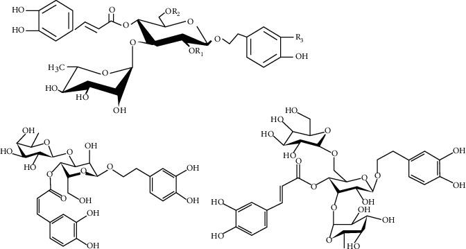 https://cdn.ncbi.nlm.nih.gov/pmc/blobs/0a80/7834784/a35e2634f761/BMRI2021-1291549.001.jpg
