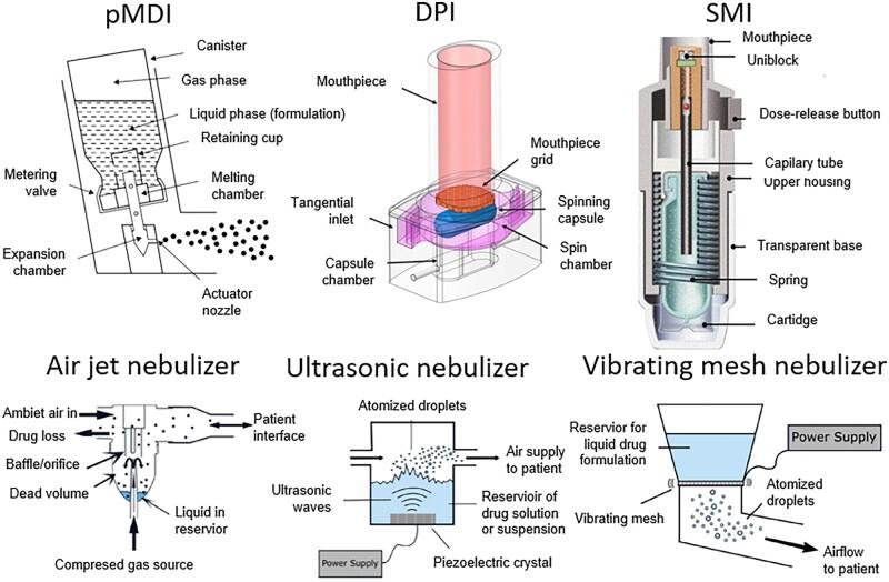 https://cdn.ncbi.nlm.nih.gov/pmc/blobs/0a80/9845529/2644b3ceb65e/rbac099f1.jpg