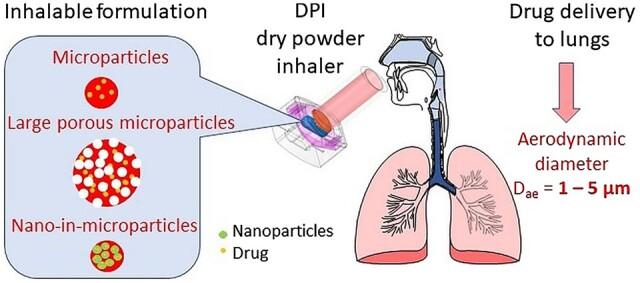 https://cdn.ncbi.nlm.nih.gov/pmc/blobs/0a80/9845529/3cb7ab87827f/rbac099f13.jpg