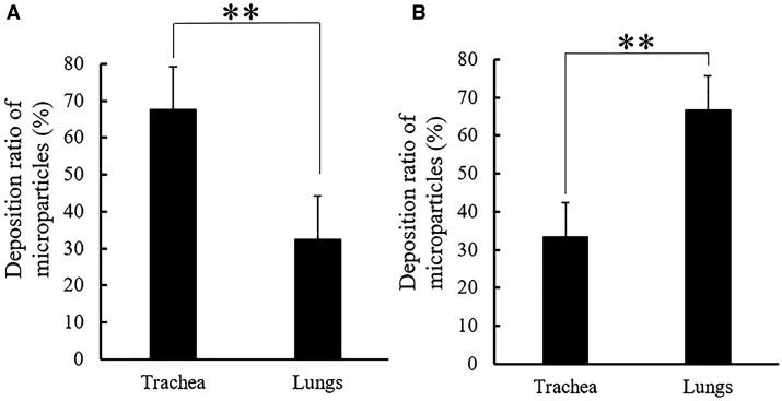 https://cdn.ncbi.nlm.nih.gov/pmc/blobs/0a80/9845529/4a526a1cdbbe/rbac099f5.jpg