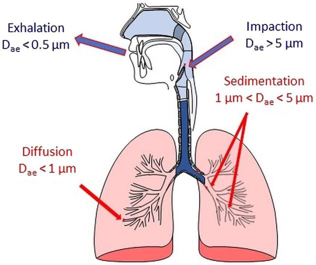 https://cdn.ncbi.nlm.nih.gov/pmc/blobs/0a80/9845529/b41672f01c0d/rbac099f2.jpg