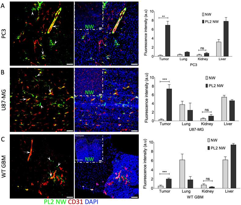 https://cdn.ncbi.nlm.nih.gov/pmc/blobs/0a82/12340053/0d93ffde4a48/41598_2025_11299_Fig3_HTML.jpg