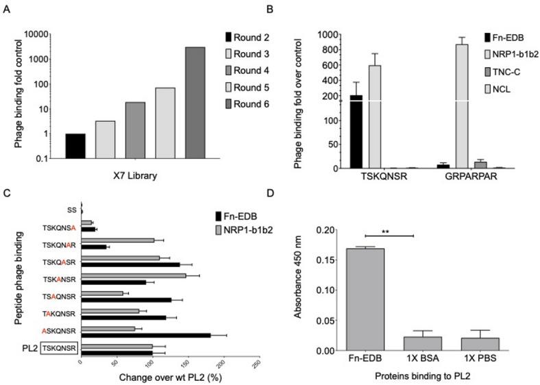 https://cdn.ncbi.nlm.nih.gov/pmc/blobs/0a82/12340053/9754b044602b/41598_2025_11299_Fig1_HTML.jpg