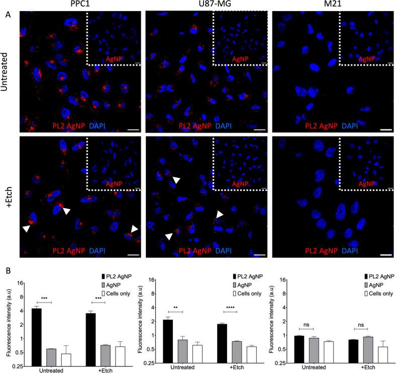 https://cdn.ncbi.nlm.nih.gov/pmc/blobs/0a82/12340053/df8679e6a64e/41598_2025_11299_Fig2_HTML.jpg