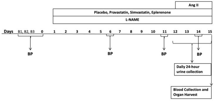 https://cdn.ncbi.nlm.nih.gov/pmc/blobs/0a83/10095483/8eadb5586c48/ijms-24-06500-g001.jpg