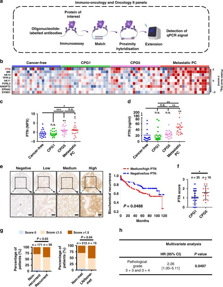 https://cdn.ncbi.nlm.nih.gov/pmc/blobs/0a84/7921397/8ad010c10792/41416_2020_1200_Fig1_HTML.jpg