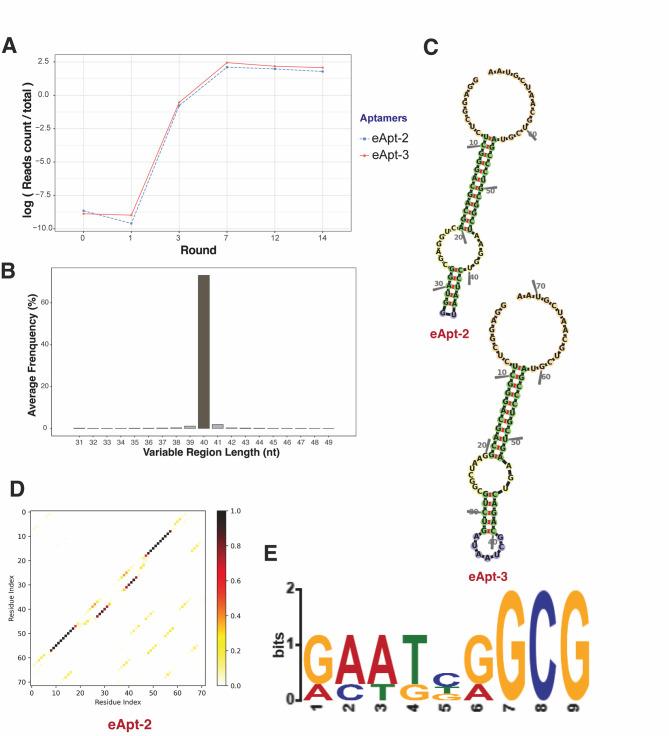 https://cdn.ncbi.nlm.nih.gov/pmc/blobs/0a85/12234956/1421e4513b32/12284_2025_819_Fig2_HTML.jpg