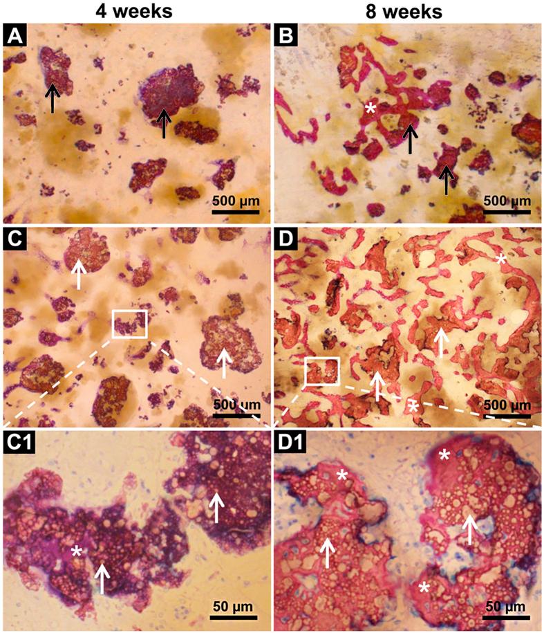https://cdn.ncbi.nlm.nih.gov/pmc/blobs/0a87/5282552/41a586fa58bf/srep41800-f5.jpg