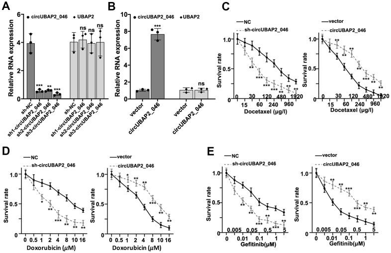 https://cdn.ncbi.nlm.nih.gov/pmc/blobs/0a87/8109095/1fd72f9c7fd9/aging-13-202745-g003.jpg