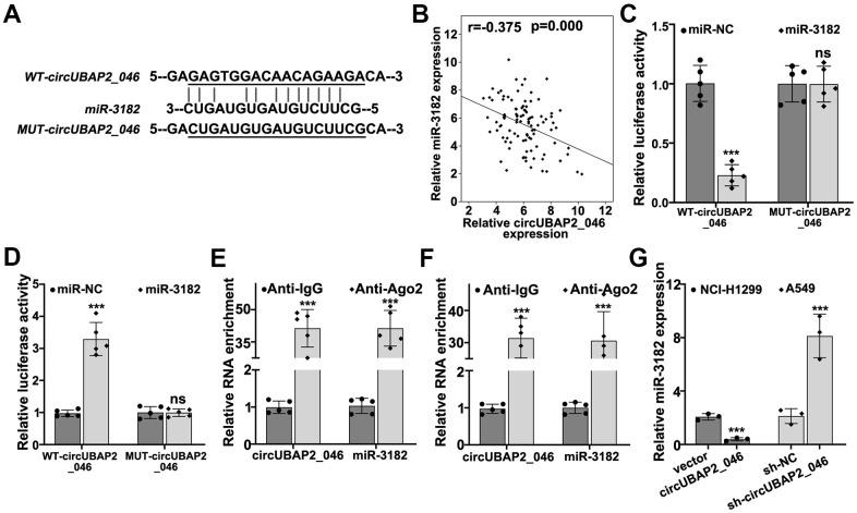 https://cdn.ncbi.nlm.nih.gov/pmc/blobs/0a87/8109095/f22adbda72c8/aging-13-202745-g005.jpg