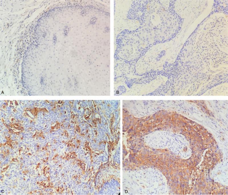 https://cdn.ncbi.nlm.nih.gov/pmc/blobs/0a88/6408075/6cdff67032a1/medi-98-e14454-g002.jpg