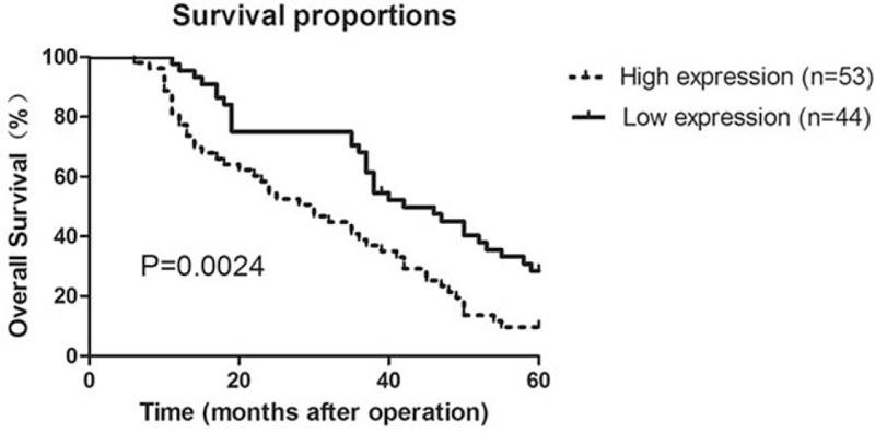 https://cdn.ncbi.nlm.nih.gov/pmc/blobs/0a88/6408075/6f1f3bf58c89/medi-98-e14454-g005.jpg