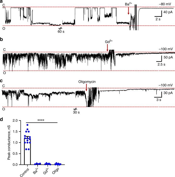 https://cdn.ncbi.nlm.nih.gov/pmc/blobs/0a8a/6925261/1ad5a8c49f2b/41467_2019_13766_Fig5_HTML.jpg