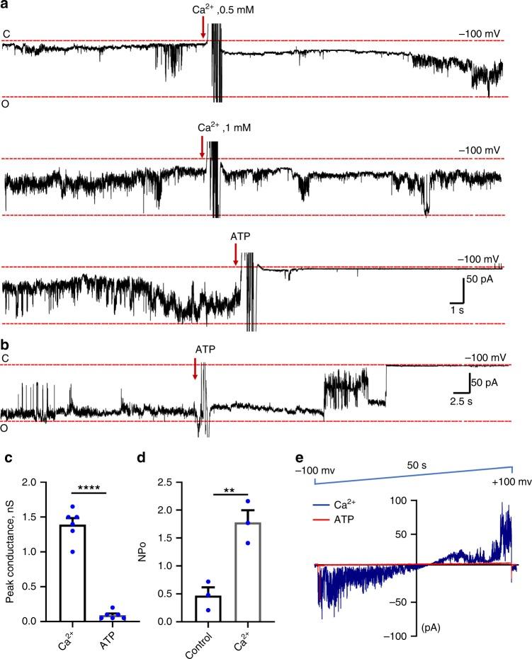 https://cdn.ncbi.nlm.nih.gov/pmc/blobs/0a8a/6925261/691a49095c66/41467_2019_13766_Fig4_HTML.jpg