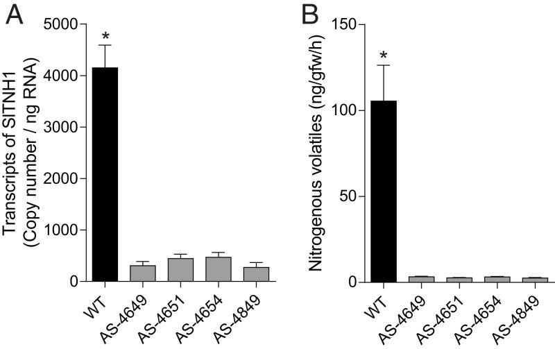 https://cdn.ncbi.nlm.nih.gov/pmc/blobs/0a8b/8851548/061de50915f1/pnas.2118676119fig02.jpg