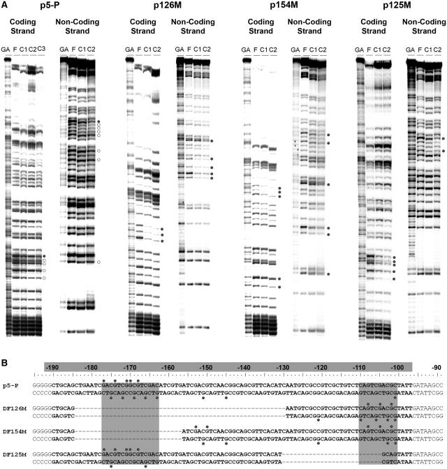 https://cdn.ncbi.nlm.nih.gov/pmc/blobs/0a8d/2965233/6a2efa2b69dd/gkq504f4.jpg