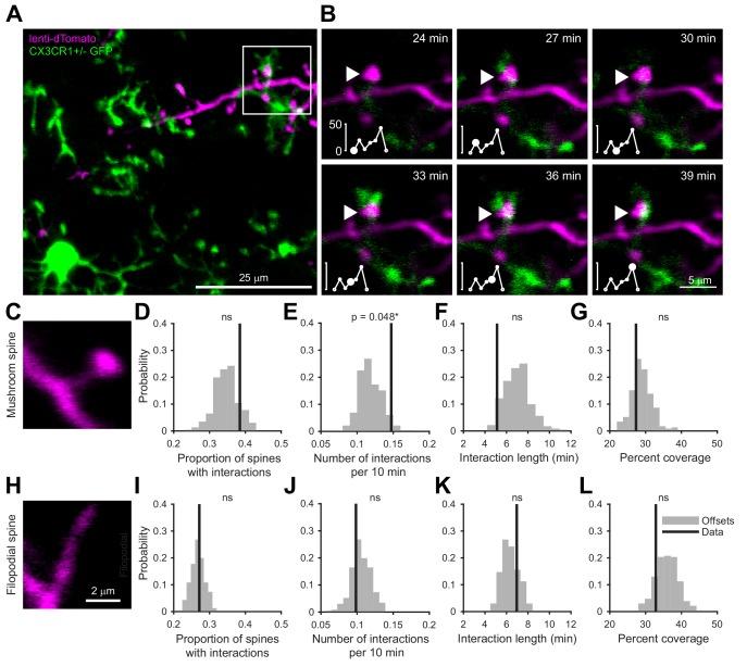 https://cdn.ncbi.nlm.nih.gov/pmc/blobs/0a8e/7062469/26ffe35634ff/elife-50531-fig1.jpg