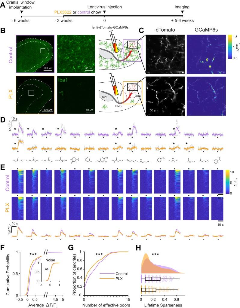 https://cdn.ncbi.nlm.nih.gov/pmc/blobs/0a8e/7062469/2b70ba1c89b0/elife-50531-fig2.jpg