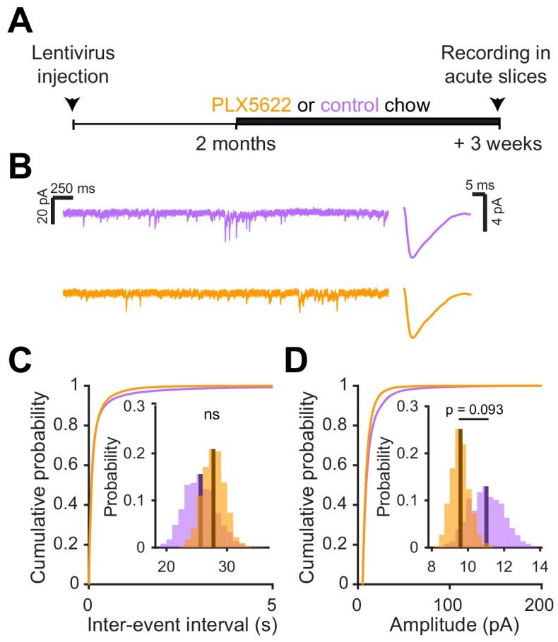 https://cdn.ncbi.nlm.nih.gov/pmc/blobs/0a8e/7062469/8616d9b42fef/elife-50531-fig7.jpg