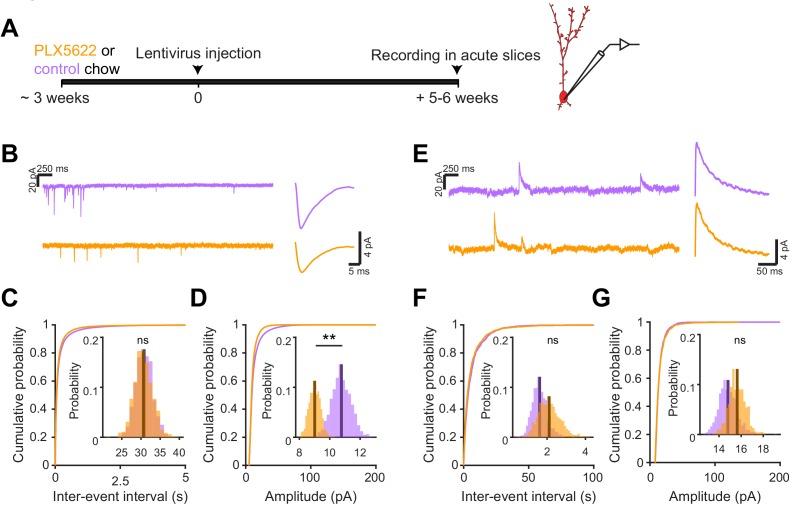 https://cdn.ncbi.nlm.nih.gov/pmc/blobs/0a8e/7062469/8bb62e25443e/elife-50531-fig6.jpg