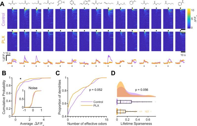 https://cdn.ncbi.nlm.nih.gov/pmc/blobs/0a8e/7062469/98f6f1cd2d56/elife-50531-fig3.jpg
