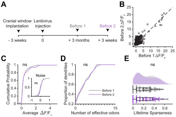 https://cdn.ncbi.nlm.nih.gov/pmc/blobs/0a8e/7062469/bafc6c5fe108/elife-50531-fig4-figsupp1.jpg