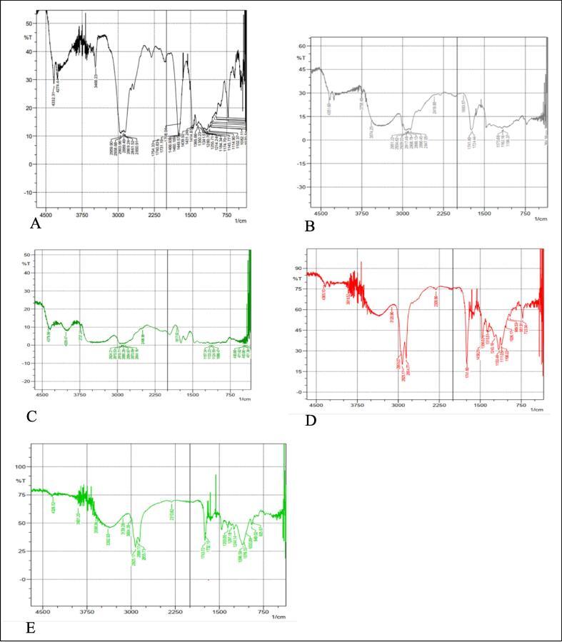 https://cdn.ncbi.nlm.nih.gov/pmc/blobs/0a91/10336832/c466d9fe2d66/gr11.jpg