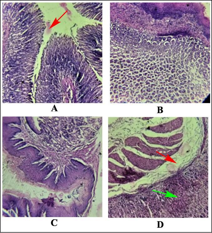 https://cdn.ncbi.nlm.nih.gov/pmc/blobs/0a91/10336832/e2aa12e007e6/gr16.jpg