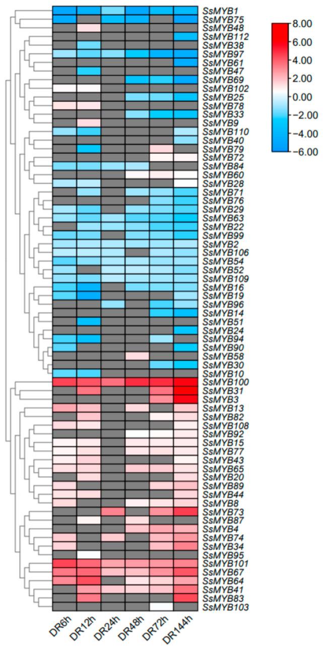 https://cdn.ncbi.nlm.nih.gov/pmc/blobs/0a91/11435211/64309dafbf0b/plants-13-02645-g006.jpg