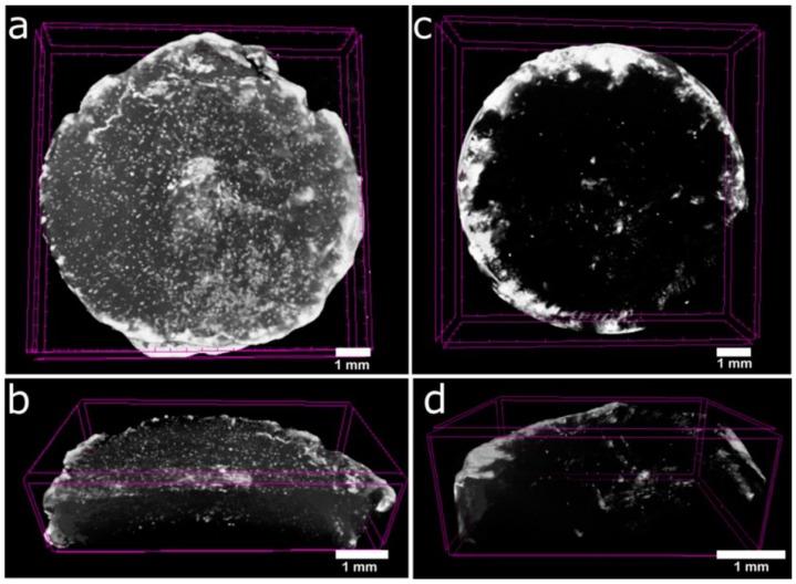 https://cdn.ncbi.nlm.nih.gov/pmc/blobs/0a91/6401825/15a8fc7291d3/polymers-10-01290-g002.jpg