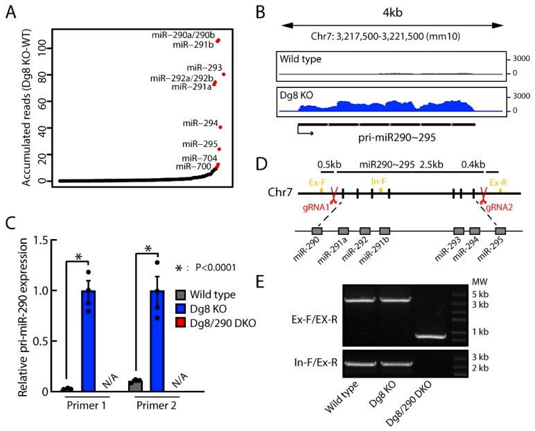 https://cdn.ncbi.nlm.nih.gov/pmc/blobs/0a92/6770266/10fba0e9f617/ijms-20-04345-g001.jpg