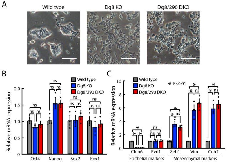 https://cdn.ncbi.nlm.nih.gov/pmc/blobs/0a92/6770266/65356db0d446/ijms-20-04345-g002.jpg
