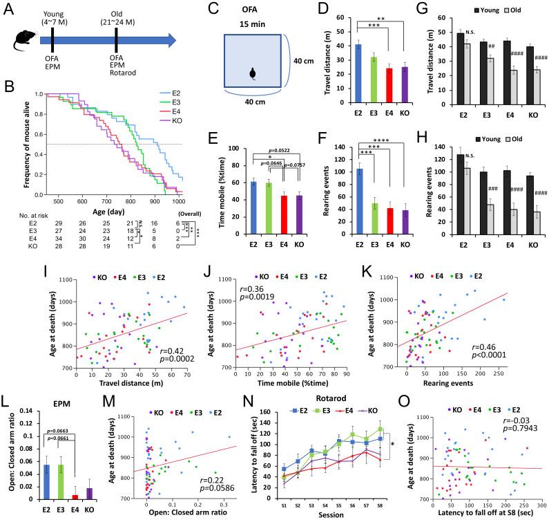 https://cdn.ncbi.nlm.nih.gov/pmc/blobs/0a94/7588231/c0e0623e7fe9/elife-62199-fig2.jpg