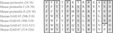 https://cdn.ncbi.nlm.nih.gov/pmc/blobs/0a95/2229979/5d3c9a1ca2e3/molmed00048-0042-a.jpg