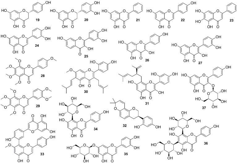 https://cdn.ncbi.nlm.nih.gov/pmc/blobs/0a97/9871280/ca6506aa9cdc/apb-13-24-g004.jpg