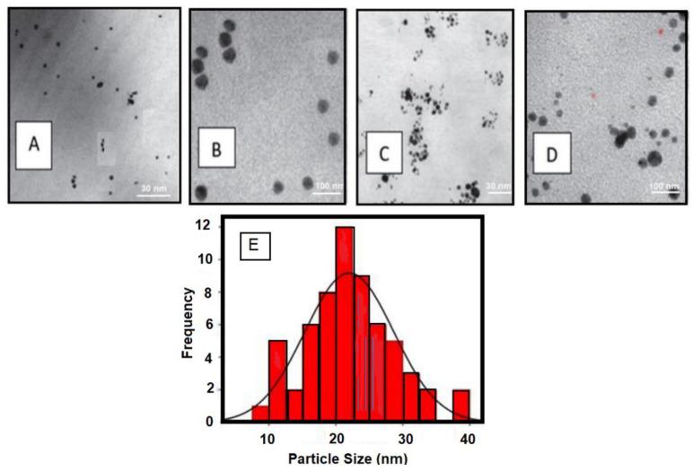 https://cdn.ncbi.nlm.nih.gov/pmc/blobs/0a98/10096253/66f1ff6bcb8d/molecules-28-03241-g002.jpg