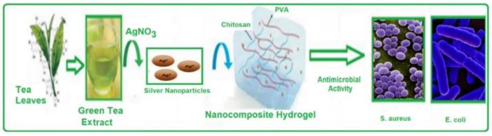 https://cdn.ncbi.nlm.nih.gov/pmc/blobs/0a98/10096253/d33c02e293d5/molecules-28-03241-g009.jpg
